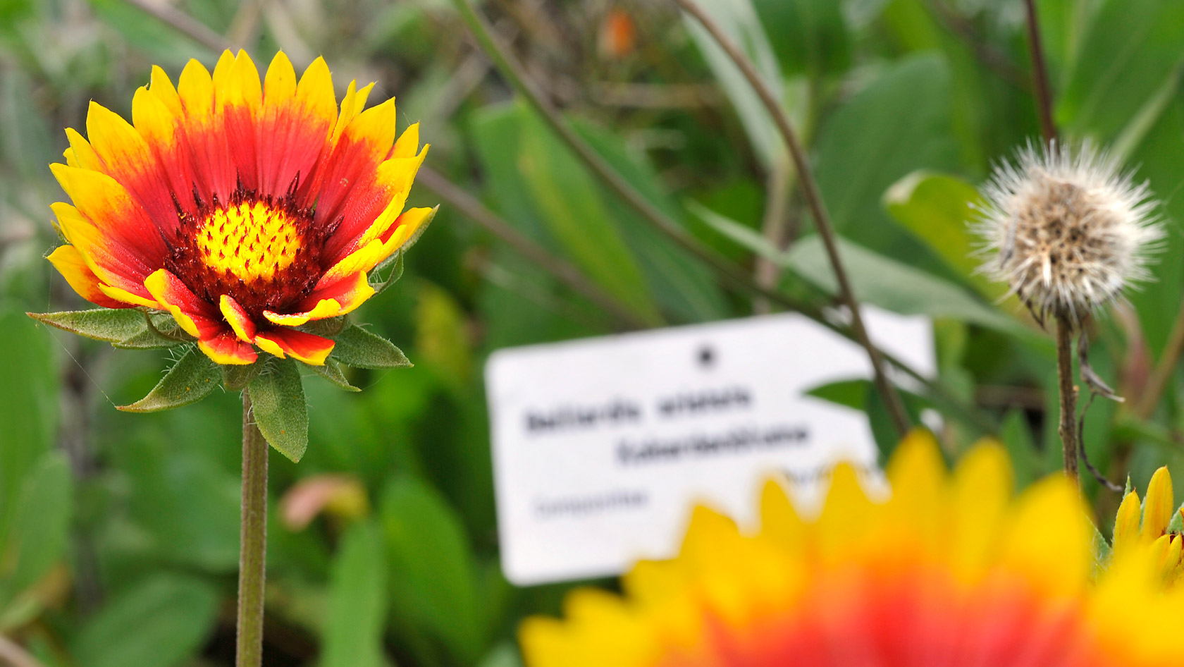 Botanical Garden