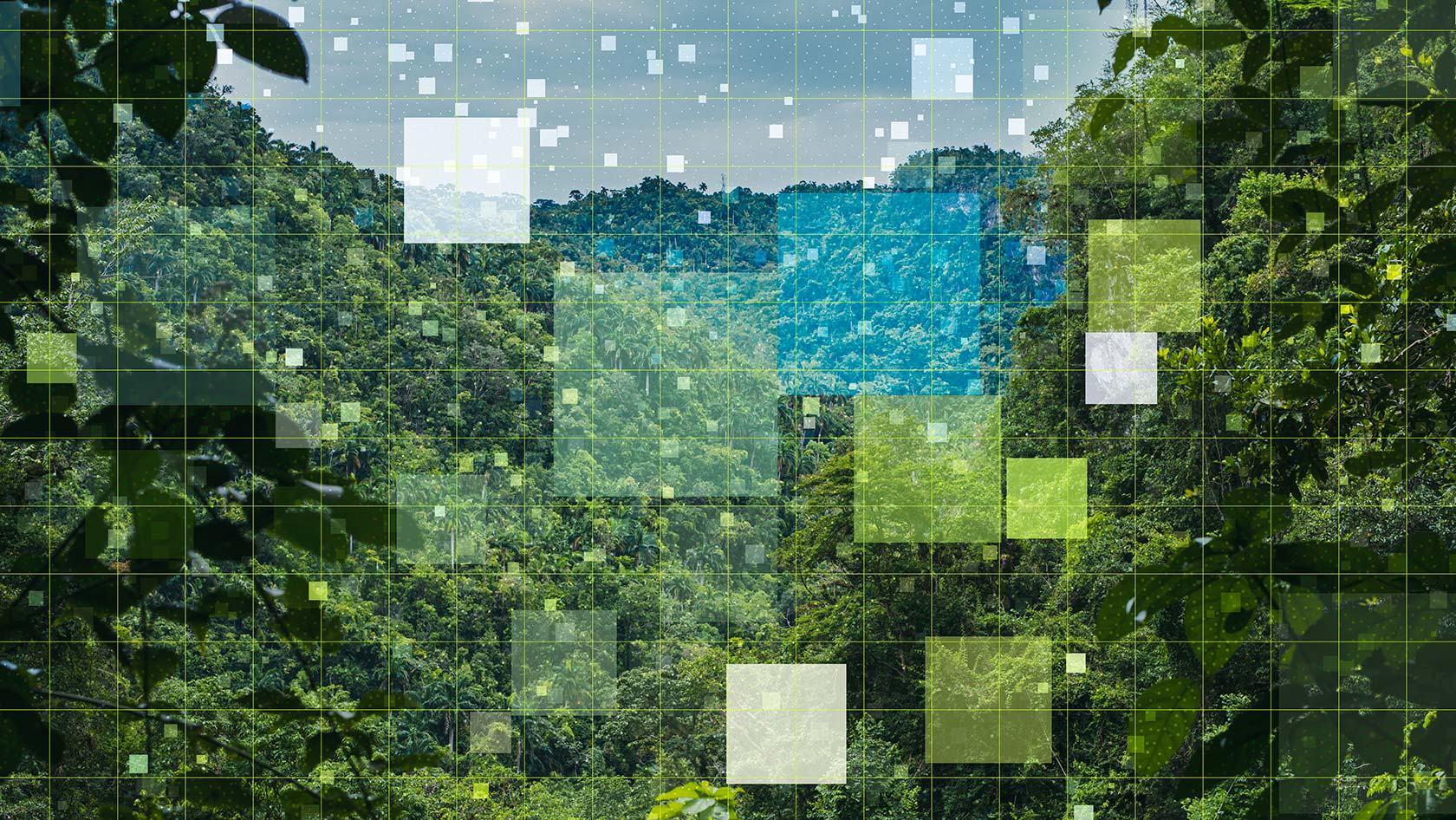 Data from nature