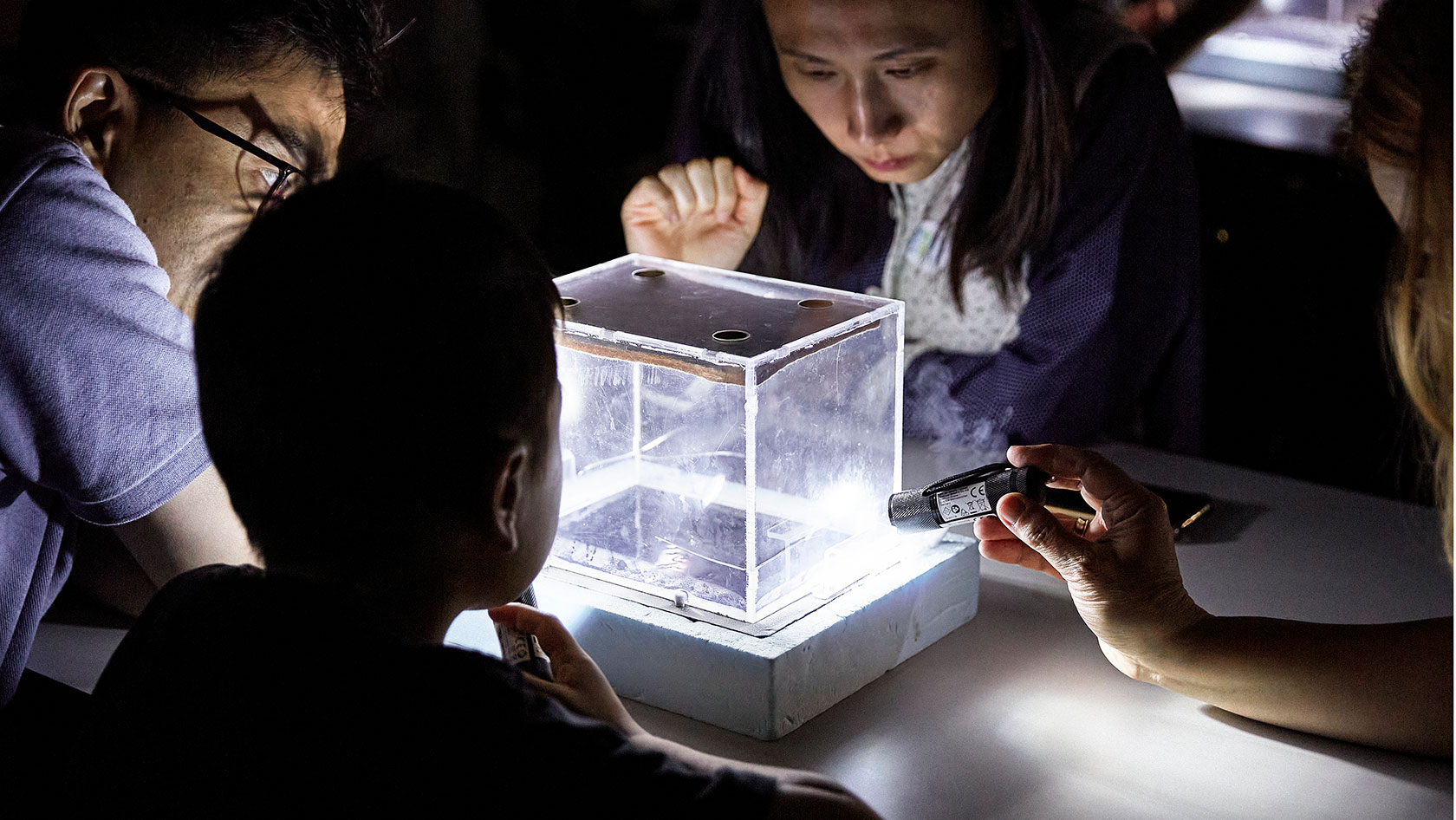 Workshop on the cloud chamber