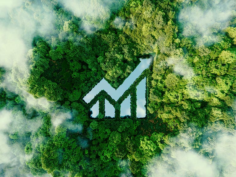 Sustainable economy