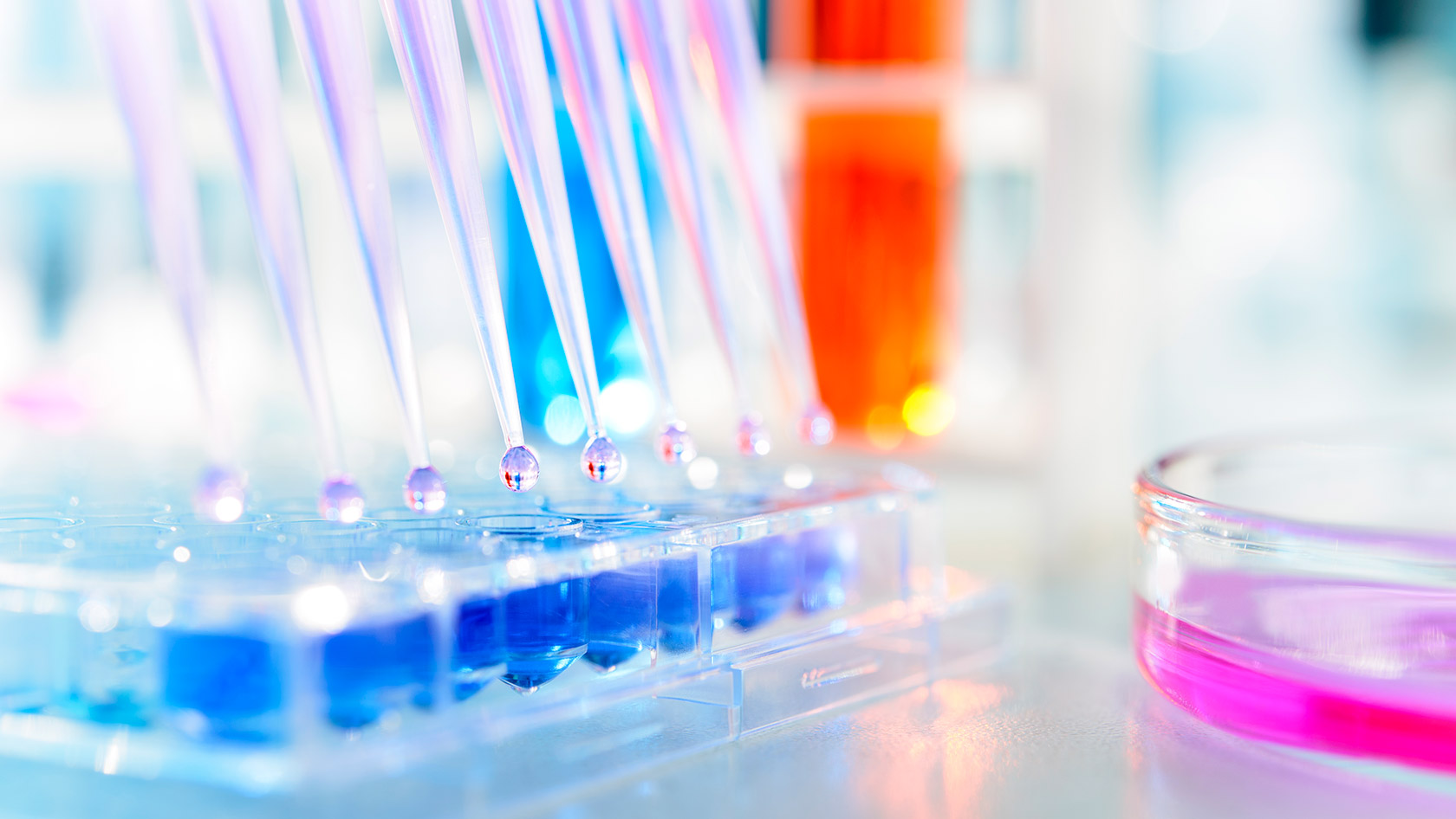 Biotechnology lab
