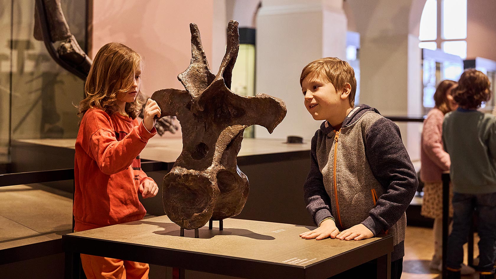 Führung im Naturhistorischen Museum
