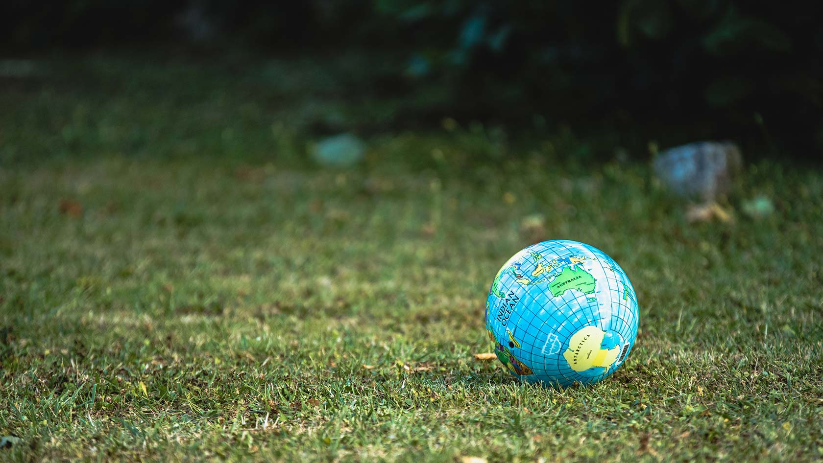 World ball on meadow