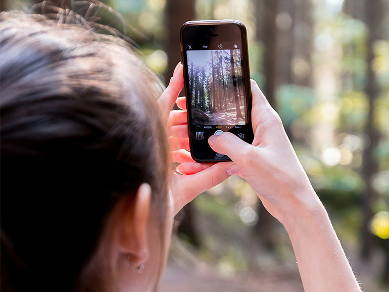 Woman taking a picture of trees using her mobile