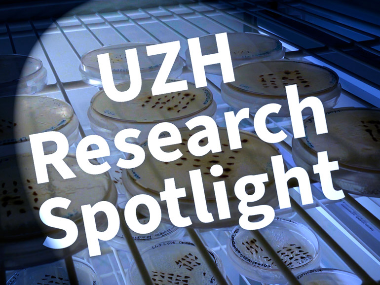 Visual Research Spotlight