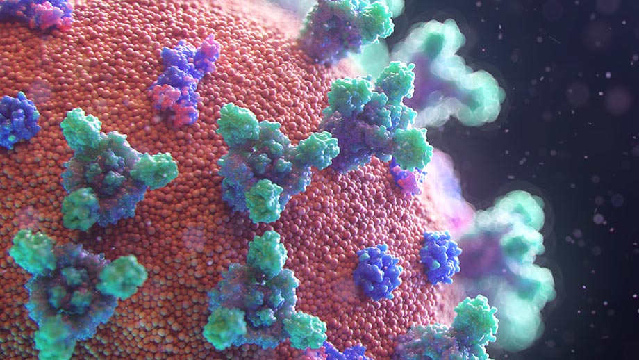 Visualisation of the new Coronavirus