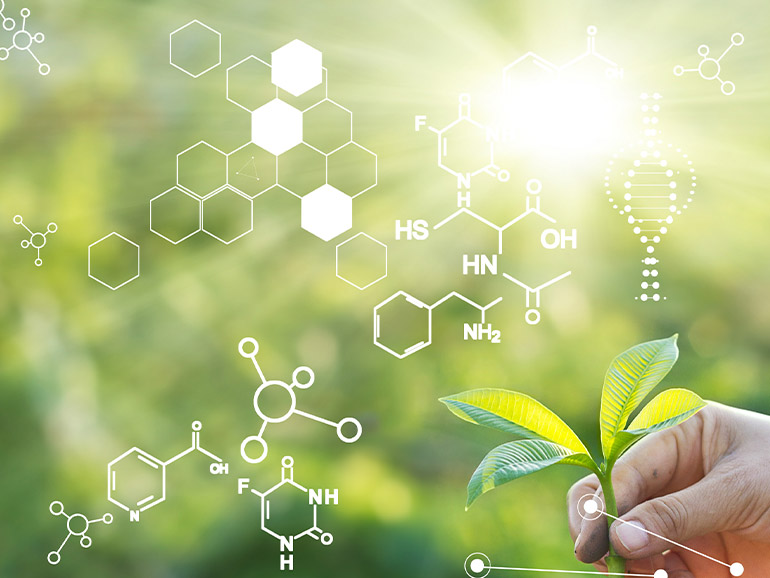 Plant and plant molecules