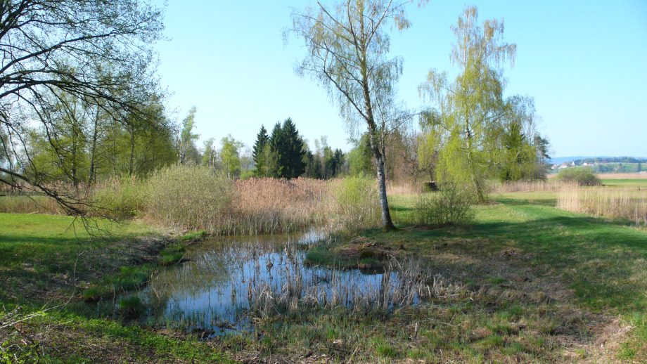 Grafik Moor
