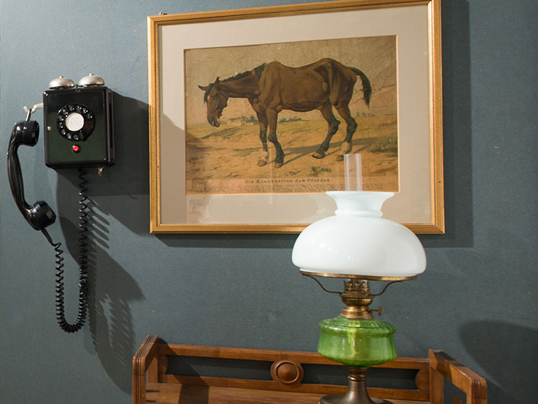 Museum of Veterinary History