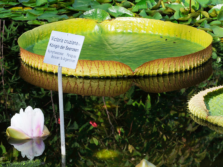 Botanical Garden