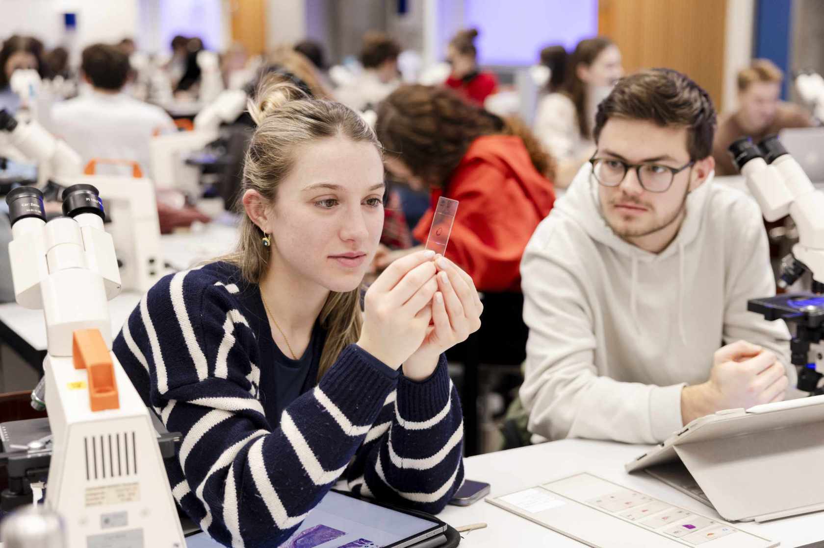 A student is sitting at a table and looking attentively at a microscope slide. The studentnext to her looks at her in astonishment.