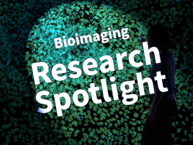 Visual Research Spotlight Bioimaging