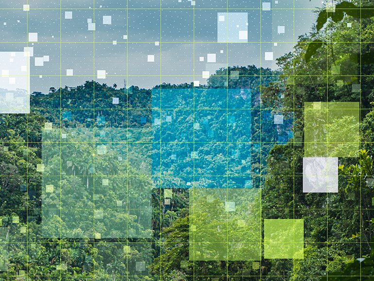 Data from nature